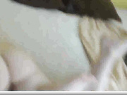 Mia_Fane_Eva_Cookies