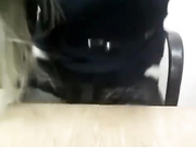 la_lala_baby (kisakotik)