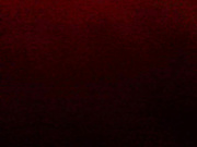 2012-12-22 VIP-Show Idolly