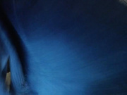 sexy_b0rsch