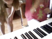 6884 Детский фортепианный концерт и раскрытые дырочки