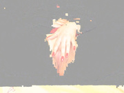 boginya7878