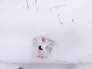 Berny-Eshly кончил в  рот