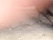 Lusi19
