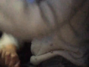 Lusi19