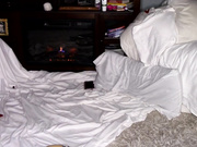 Collegecoupleamateurs