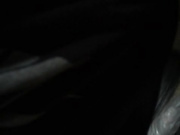 Sstudents (E-Volkova)