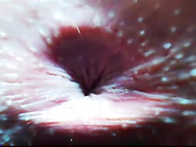 Frida_Oliva показ анусов