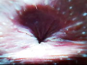 Frida_Oliva показ анусов