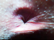 Frida_Oliva показ анусов