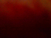 2012-12-22 VIP-Show Idolly