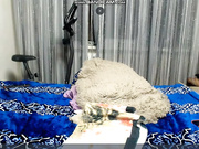 Горячая толстушка