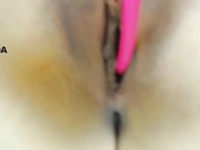 Peneloppaa