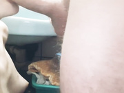 Lana Weiss старательно сосет