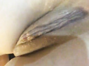 PussyBolls