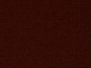 alizacot-s