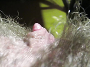 Знакомтесь, это мой клитор