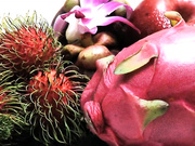 Катя Самбука (Райский Гимн)