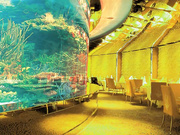 Катя Самбука (Райский Гимн)