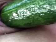 Огурец прямо с грядки