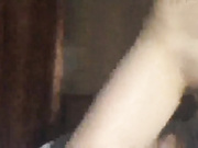 ritsefox1