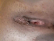 Ambifadora