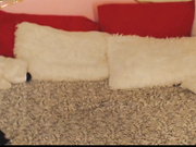 Playfulwomam4u 11.12.19. 00:31.