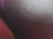 hellysep