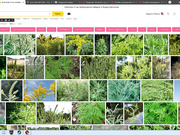 Alice570 без трусов