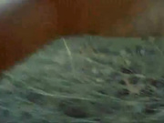 Куда кончать В рот