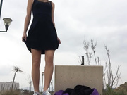 Iviroses