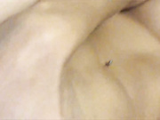 Mary_Angel
