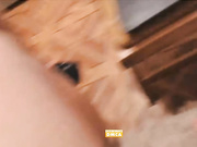 GoAlexGo