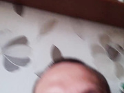 Piisia