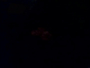 AMINA в бассейне