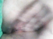 ISERIA