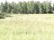 Lenaweb с мужиком