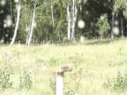 Lenaweb с мужиком