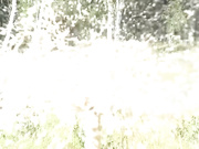 elena24 (с парнем)