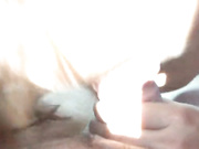 В машине соснулаХ