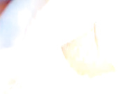 красавица LadyDee