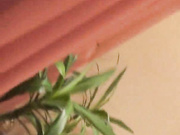 светка пипетка