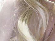 WinterAngel