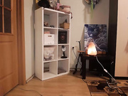 SweetLadana (Таня Бейлис)