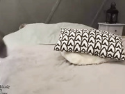Bunnyblondy