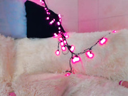 BlackCat_xs