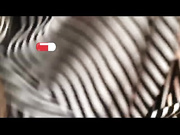 -Your_lusi-рычаг КПП в попку-3