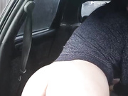 Paratrax (Kisunia26)