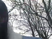 Paratrax (Kisunia26)