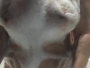 Koshe4ka-